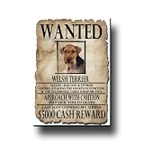 Welsh Terrier Wanted Fridge Magnet