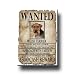 Welsh Terrier Wanted Fridge Magnet