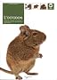 L'Octodon : Anatomie, dressage, reproduction, alimentation, soins et traitements des maladies