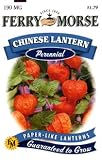 Ferry-Morse 1032 Chinese Lantern Perennial Flower Seeds (190 Milligram Packet)