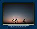 Freedom - Family Biking, Motivational Poster