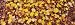 Close-Up of Fallen Leaves, Emery Park, East Aurora, Erie County, New York, USA Photographic Poster Print by Panoramic Images, 120x40