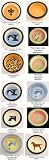 Signature Line Ceramic Dog Bowls in 56 Designs : Design BLACK PAW : Size LARGE - 11 INCH - 12 CUP CAPACITY