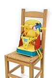 Winnie the Pooh Booster Seat