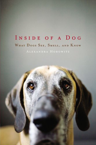 Inside of a Dog Inside of a Dog