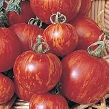 Outdoor Living : Tomato Tigerella (Mr Stripey)
