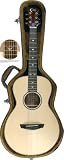 Acoustic guitar - Faith natural range - Mercury Parlour size - Shadow electronics - Engelmann spruce top with solid Mahogany back and sides - Hard case included - stunning looks, great playability - excellent value