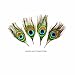 Peacock Feather Hair Extension - 4 Pack