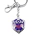 The Legend of Zelda Hylian Shield Keychain (Silver B)
