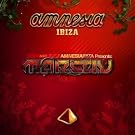 Amnesia Ibiza DJ...