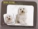 image 8 - Maltese Mouse Pad and Coasters Set of 2
