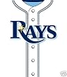 Tampa Bay Rays Stretchable Book Covers