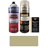 12.5 Oz. Light Graphite (Interior) Spray Can Paint Kit for 2002 Mercury Mountaineer... by PaintScratch Automotive Touch Up Paint