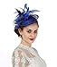 SAFERIN Blue Fascinators Flower Mesh Sinamay Blue Feathers on a Headband and a Clip Tea Party Headwear for Women Wedding(TA4-Sapphire Blue)