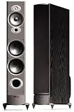 Polk Audio RTi10 High Output Floorstanding Loudspeaker (Single, Black)