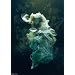 Schmidt Spiele 58702 - Water Babies, Tanz in den Fluten, 1000 Teile