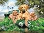 Golden Summer Days Puzzle