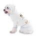 Don't listen to the voices in your head Listen to your Machine Operator Hooded (Hoody) T-Shirt with pocket for your Dog or Cat MEDIUM White