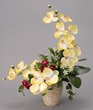 ���G�}�A�[�g�t�����[�@�T���}���m�`�P�W�O�S�|�U�O�@