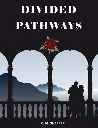 Divided Pathways by Cathy Williams