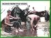 Combat Infantry Soldier In Vietnam: Probe & Pursue And Life In The Field