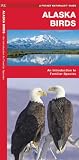Alaska Birds: An Introduction to Familiar Species (State Nature Guides)