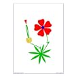 St Mary Hospice - Crane's Bill Abstract Giclee Poster Print by Asbjorn Lonvig, 8x10
