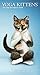 Yoga Kittens 2017 Two-Year Pocket Planner