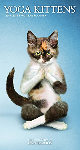 Yoga Kittens 2017 Two-Year Pocket Planner