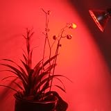High Power All Red 42 SMD LED PAR38 Screw Base Wide Angle Grow Light for Budding and Flowering, 1313RD