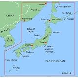 GARMIN BLUECHART XAE001R MICRO SD JAPAN