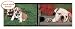 Bulldog Border