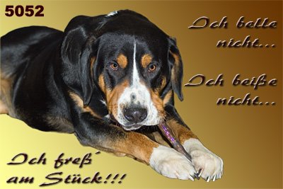 http://ecx.images-amazon.com/images/I/41tpd%2Bk6OaL.jpg