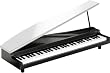 microPIANO (61����/�ۥ磻��) MICROPIANO