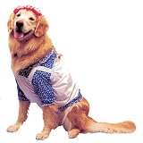 Pet Raggedy Ann Dog Costume For Medium Dogs