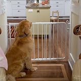 Cardinal Gates Aluminum Auto Lock Gate in White