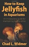 How to Keep Jellyfish in Aquariums: An Introductory Guide for Maintaining Healthy Jellies