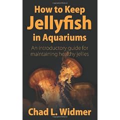 How to Keep Jellyfish in Aquariums: An Introductory Guide for Maintaining Healthy Jellies
