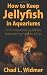 How to Keep Jellyfish in Aquariums: An Introductory Guide for Maintaining Healthy Jellies