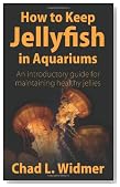 How to Keep Jellyfish in Aquariums: An Introductory Guide for Maintaining Healthy Jellies