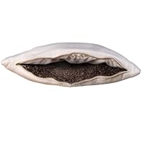 Lifekind Customizable Organic Buckwheat Hull Pillow 20x26'