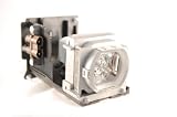Replacement Lamp Module for Mitsubishi HC4900 HC4900W HC5000 HC5000BL HC5500 Projectors (Includes Lamp and Housing)