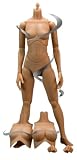 Triad Toys Evalution Female Figure Body: Caucasian