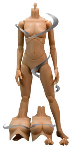 Triad Toys Evalution Female Figure Body: Caucasian