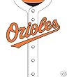 Baltimore Orioles Stretchable Book Covers