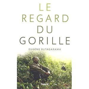 Le regard du gorille