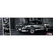 (12x36) Ford Shelby Mustang (Easton Chang GT500) Art Poster Print