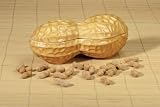 Peanut Container Ceramic Storage Home Gourmet