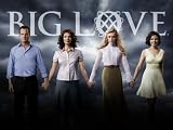 Big Love: Season 4