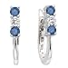 14K White Gold 1/3 ct. Blue and White Diamond Earrings
